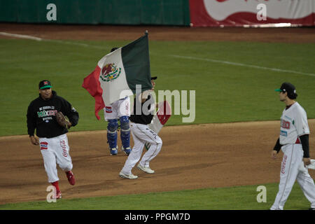 Aficionado de Culiacan corre Por El Terreno de San Blas con la Bandera de Mexico, durante El primer Dia de acción en la Serie del Caribe 2013. 1 Febrero Stockfoto