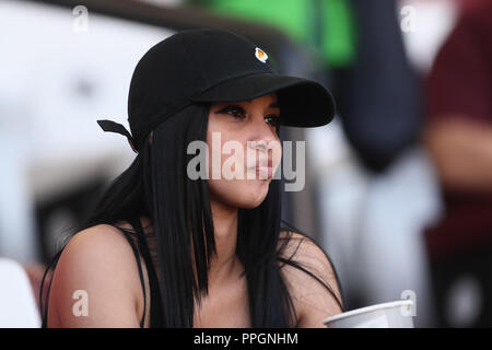 Afición de Puerto Rico, durante el Partido de Beisbol de la Serie del Caribe entre Kuba vs Puerto Rico en El Nuevo Estadio de los Tomateros en Culiac Stockfoto