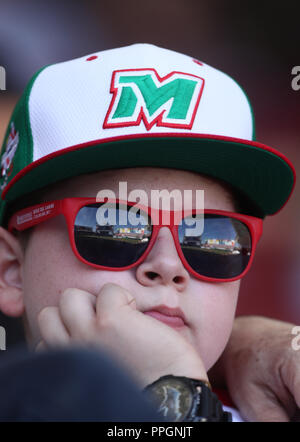 Afición de Mexico, durante el Partido de Beisbol de la Serie del Caribe entre Kuba vs Puerto Rico en El Nuevo Estadio de los Tomateros en Culiacan, M Stockfoto