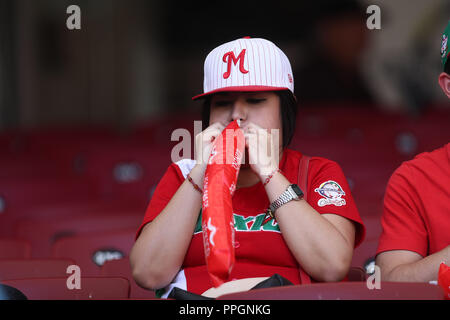 Afición de Mexico, durante el Partido de Beisbol de la Serie del Caribe entre Kuba vs Puerto Rico en El Nuevo Estadio de los Tomateros en Culiacan, M Stockfoto