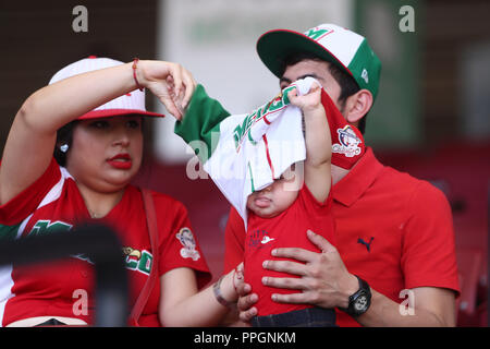 Afición de Mexico, durante el Partido de Beisbol de la Serie del Caribe entre Kuba vs Puerto Rico en El Nuevo Estadio de los Tomateros en Culiacan, M Stockfoto