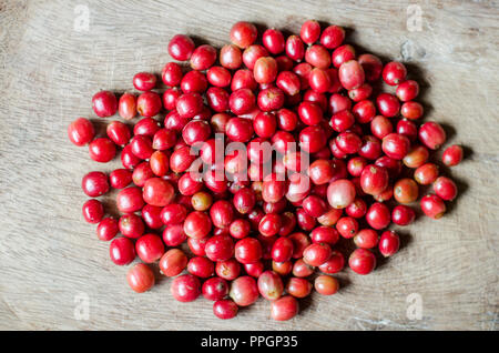 Reife Kaffeekirschen auf eine Schüssel Stockfoto