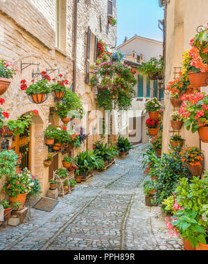 Malerische Anblick in Spello, blumig und malerischen Dorf in Umbrien, Provinz Perugia, Italien. Stockfoto