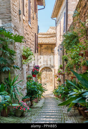 Malerische Anblick in Spello, blumig und malerischen Dorf in Umbrien, Provinz Perugia, Italien. Stockfoto