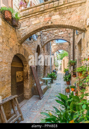 Malerische Anblick in Spello, blumig und malerischen Dorf in Umbrien, Provinz Perugia, Italien. Stockfoto