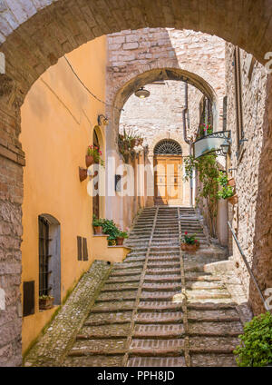 Malerische Anblick in Spello, blumig und malerischen Dorf in Umbrien, Provinz Perugia, Italien. Stockfoto