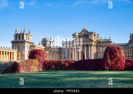 Am späten Nachmittag Sonnenlicht in Blenheim Palace im Herbst. Blenheim Palace, Woodstock, Oxfordshire, England Stockfoto