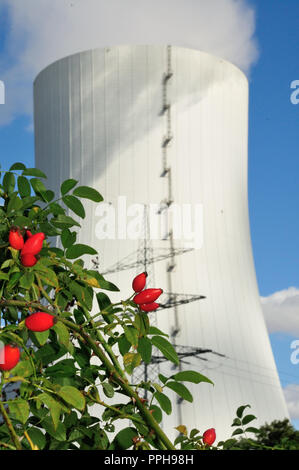 Kohlekraftwerk und Natur unter blauem Himmel in Heilbronn, Baden Württemberg, Deutschland, Europa Stockfoto