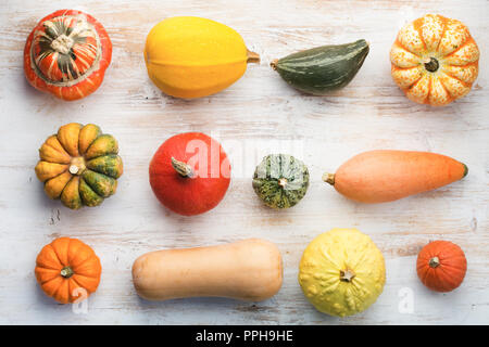 Oben Ansicht der Kürbisse Kürbisse und auf dem weißen Holz- tablebackground in einem Raster angeordnet, selektiver Fokus Stockfoto