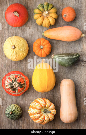 Ansicht von oben Der kürbisse Kürbisse und auf dem dunklen Grau Holz- Hintergrund in einem Raster angeordnet, Vertikal, selektiven Fokus Stockfoto