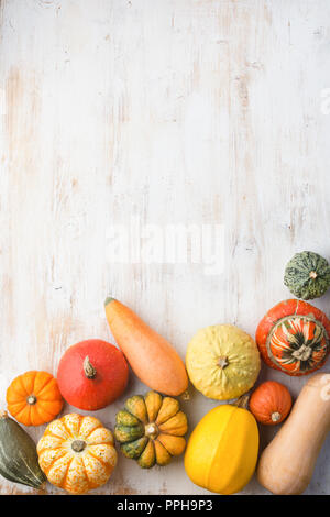 Sortiment der Kürbisse Kürbisse und auf dem weißen Holz- tablebackground in einem Raster angeordnet, kopieren Platz für Text, selektiver Fokus Stockfoto