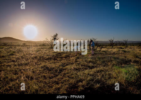 Hluhluwe, Südafrika - 13. Januar 2018. Die Sonne über dem Afrikanischen Busch als Touristen schauen Sie sich um. Stockfoto