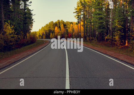 Gemischte Nadel- und Laubbäume im Herbst Wald wächst eine asphaltierte Straße mit einer Division Streifen Stockfoto