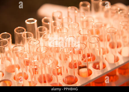 Labor Forschung Wissenschaft Glas Elemente hinzufügen Drop zu einer von mehreren Reagenzgläser. Ein wissenschaftliches Experiment in einem wissenschaftlichen Labor. Stockfoto