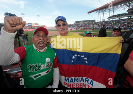 Aficionado con la Bandera de Venezuela y Jersey de Mexico. . Durante la Serie del Caribe 2013 de Beisbol, Mexiko vs Venezuela en el estadio Sohn Stockfoto