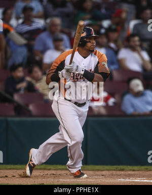 Rene Reyes de Venezuela, durante el Partido de Beisbol de la Serie del Caribe entre Alazanes de Granma Kuba vs las Águilas del Zulia Venezuela en el N Stockfoto