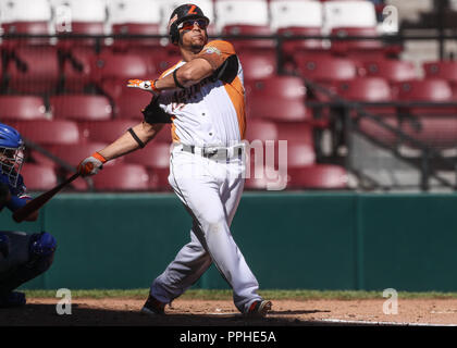 Rene Reyes de Venezuela, durante Partido de Beisbol de la Serie del Caribe de Beisbol En El Nuevo Estadio de los Tomateros en Culiacan, Mexiko, Doming Stockfoto