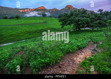 Rancho Santa Barbara y Reserva Monte Mojino de la Natürliche Kultur International (NCI). Bereich de protegida. Reserva Natural de la Sierra de Alamos, Sono Stockfoto