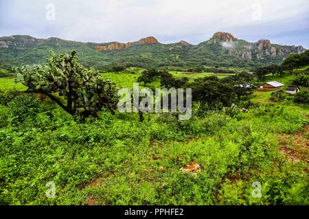 Rancho Santa Barbara y Reserva Monte Mojino de la Natürliche Kultur International (NCI). Bereich de protegida. Reserva Natural de la Sierra de Alamos, Sono Stockfoto