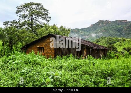 Rancho Santa Barbara y Reserva Monte Mojino de la Natürliche Kultur International (NCI). Bereich de protegida. Reserva Natural de la Sierra de Alamos, Sono Stockfoto