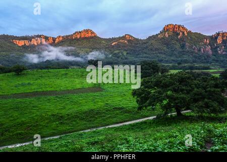 Rancho Santa Barbara y Reserva Monte Mojino de la Natürliche Kultur International (NCI). Bereich de protegida. Reserva Natural de la Sierra de Alamos, Sono Stockfoto