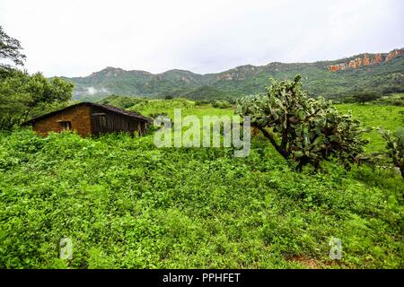 Rancho Santa Barbara y Reserva Monte Mojino de la Natürliche Kultur International (NCI). Bereich de protegida. Reserva Natural de la Sierra de Alamos, Sono Stockfoto