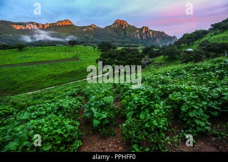 Rancho Santa Barbara y Reserva Monte Mojino de la Natürliche Kultur International (NCI). Bereich de protegida. Reserva Natural de la Sierra de Alamos, Sono Stockfoto