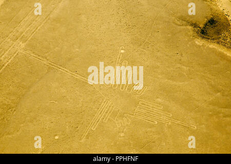 Der Kolibri - Nasca-Linien - Peru Stockfoto