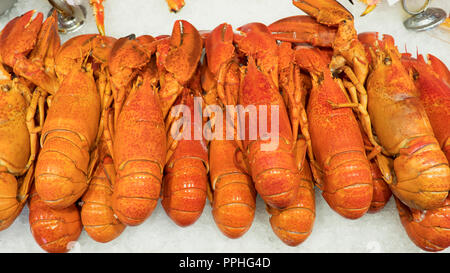Krebstiere auf Eis, Haufen von Hummer auch als Kaisergranat, Dublin Bay Garnelen, Scampi oder Scampi, eine örtliche Spezialität zu einem Fischmarkt, Norwegen bekannt Stockfoto