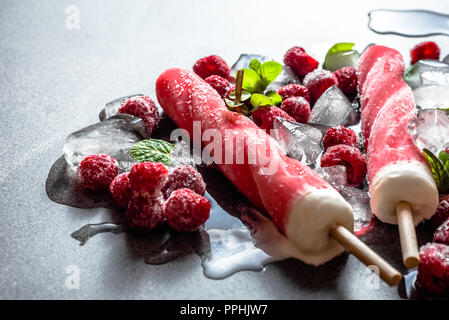 Sahne Eis mit fruchtsorbet, kalte erfrischenden Snack für den Sommer Stockfoto