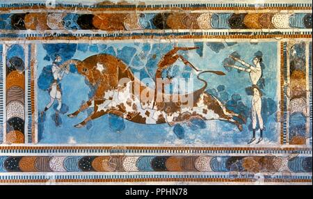 Minoischen Periode. Der Palast von Knossos. Bronzezeit. Stier - springen Fresko, Ca. 1400 v. Chr.. Es zeigt einen jungen Mann, was scheint eine Handspring oder flip über einen wütenden Stier. Stier sprang war ein lokaler Sport, bei dem der Athlet hatte springt über und auf dem Stier auszuführen. Es war ein Ritual zu Apollo gewidmet. Zeitraum MM IIIB. Das archäologische Museum von Heraklion. Kreta, Griechenland. Stockfoto