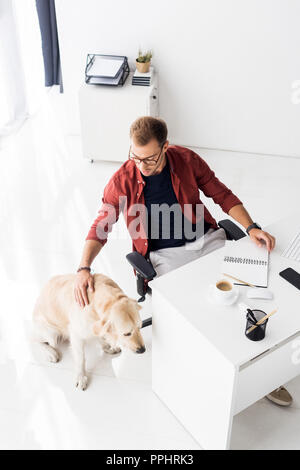 Geschäftsmann streicheln Hund in modernen Büro Stockfoto