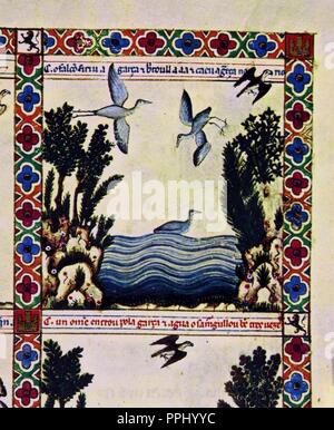 MTI 1 - "CANTIGA DE SANTA MARIA' Nº 142 - F 198 R - HERON VERLETZTE FALLEN IN DEN FLUSS HENARES des 13. Jahrhunderts. Autor: Alfons X. von Kastilien. Lage: MONASTERIO - BIBLIOTECA - coleccion. SAN LORENZO DEL ESCORIAL. MADRID. Spanien. Stockfoto