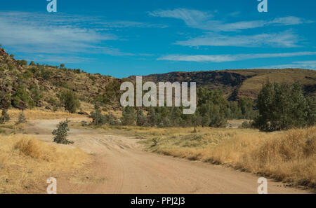 4wd Weg zum Palm Valley, Alice Springs. Stockfoto