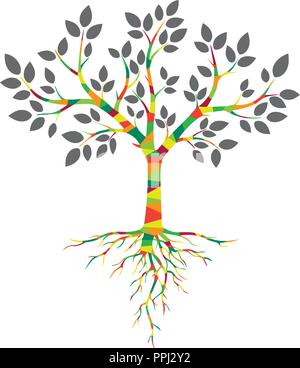 Farbige Baum mit Wurzeln und Blättern Stock Vektor