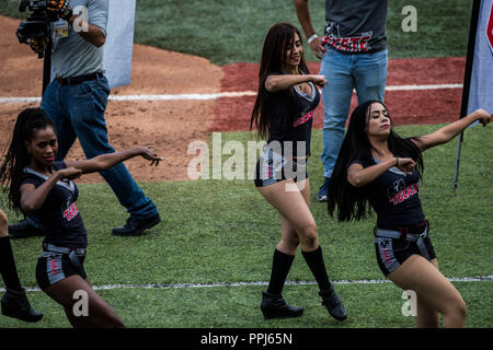 Edecanes Edecan, o Chicas Tecate. . Partido de Beisbol de la Serie del Caribe con El Encuentro entre Caribes de Anzoátegui de Venezuela contra Los C Stockfoto