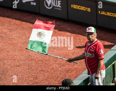 Aficionado con la Bandera de Mexico, durante el Partido de Beisbol de la Serie del Caribe con El Encuentro entre los Alazanes de Gamma de Kuba contra Stockfoto