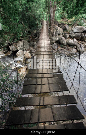 Klapprige hölzerne Hängebrücke über den Fluss im tropischen vietnamesischen Regen Wald Stockfoto