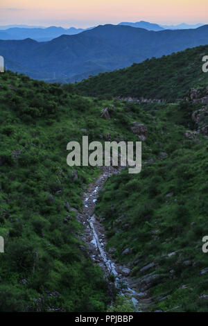 Pilares Dorf Nacozari, Sonora, Mexiko. verlassene Minenstadt, Ghost Town, Dorf allein. (Foto: LuisGutierrez) pueblo Pilares de Nacozari SON Stockfoto