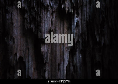 Hintergrund der alten Black Wood Plank. Stockfoto
