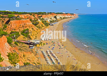 Die wunderschönen goldenen Sandstrand von Praia de Falésia erstreckt sich über sechs Kilometer von Vilamoura nach Olhos d'Agua, in der Region Algarve in Portugal. Stockfoto