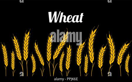 Schwarzer Hintergrund nahtlose Muster. Vector Illustration Feld mit Ohren von Weizen für die Landwirtschaft oder Bäckerei. Stock Vektor