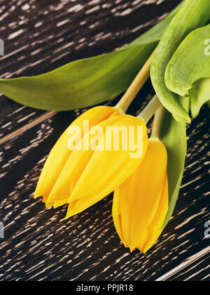 Gelbe Tulpe Blumen Blumenstrauß auf hölzernen Hintergrund Stockfoto