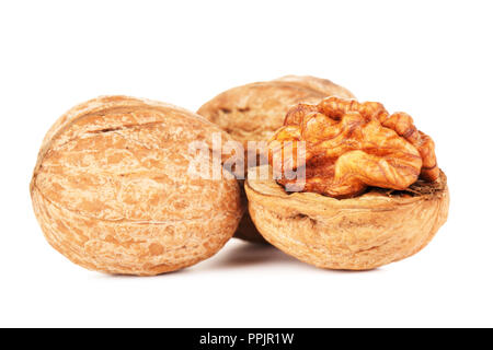 Frische Walnüsse geschält, auf weißem Hintergrund Stockfoto