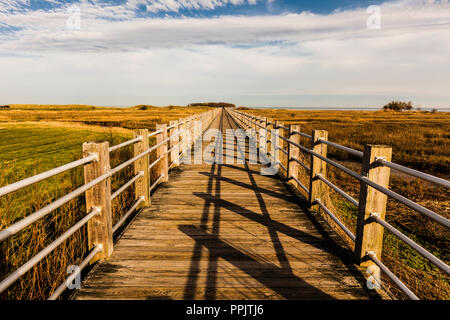 Boardwalk Silver Sands State Park Milford, Connecticut, USA Stockfoto