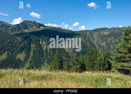 Berge in der bonaigua im Tal von Aran, Pyrenäen, Spanien Stockfoto