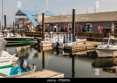 Costello's Clam Shack Noank, Connecticut, USA Stockfoto