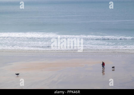 Paar ihre beiden Hunde auf die hoch reflektierende Sandstrand in Perranporth mit kleinen Wellen. Stockfoto