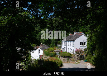 Blick in Durgan Dorf unten Glendurgan Gärten am Helford Passage - weißes Häuschen in der Sonne durch Bäume gesehen. Stockfoto