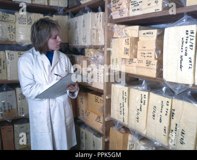 Arbeiter in einer Molkerei Inspektion Käse store Stockfoto